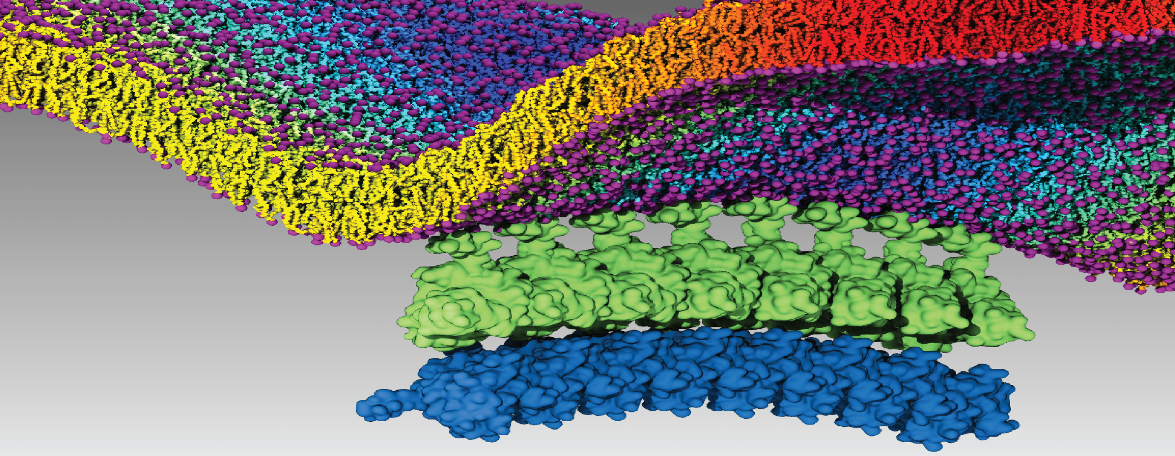 Image Credit: Jen Hsin